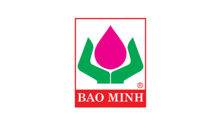 Bao Minh Insurance